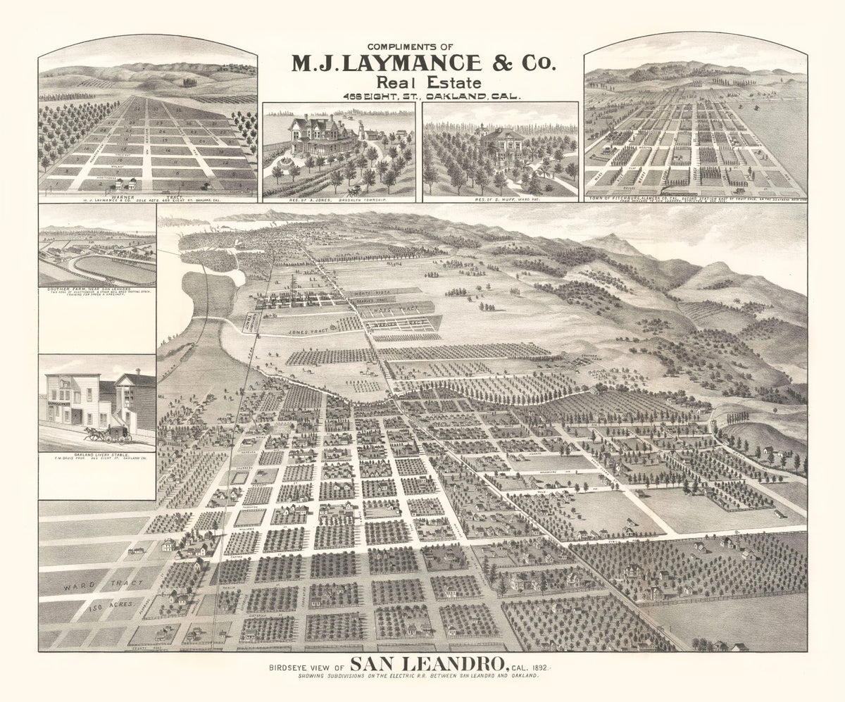 Preview of Vintage Map of San Leandro, California 1892