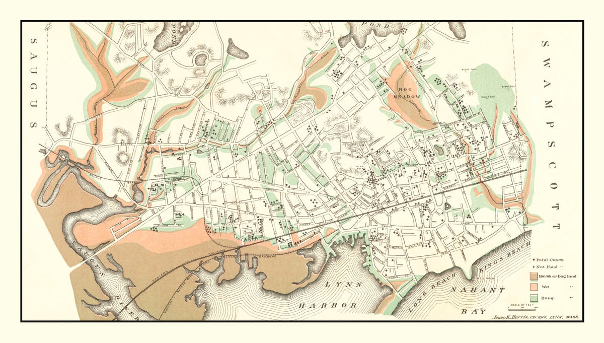 Preview of Vintage Map of Lynn, Massachusetts 1876