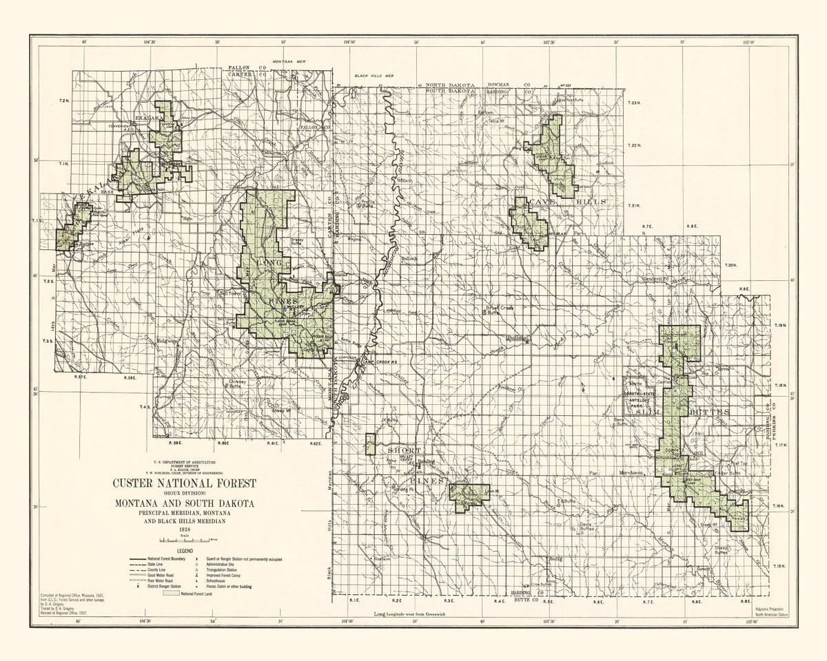 Preview of Vintage Custer National Forest Map 1938