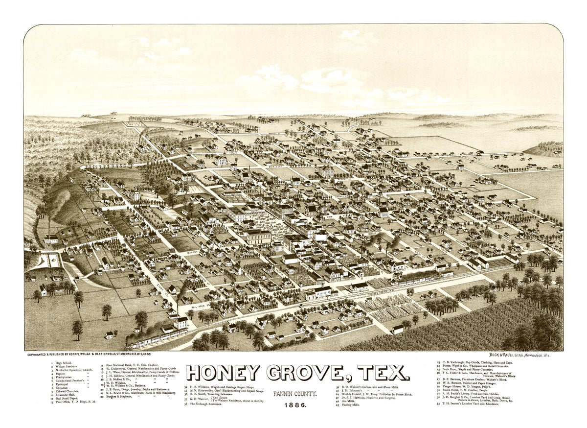 Preview of Vintage Map of Hone Grove, Texas 1885