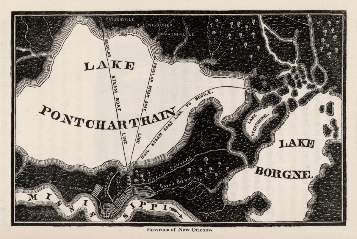 Preview of Vintage Map of New Orleans, Louisiana 1845