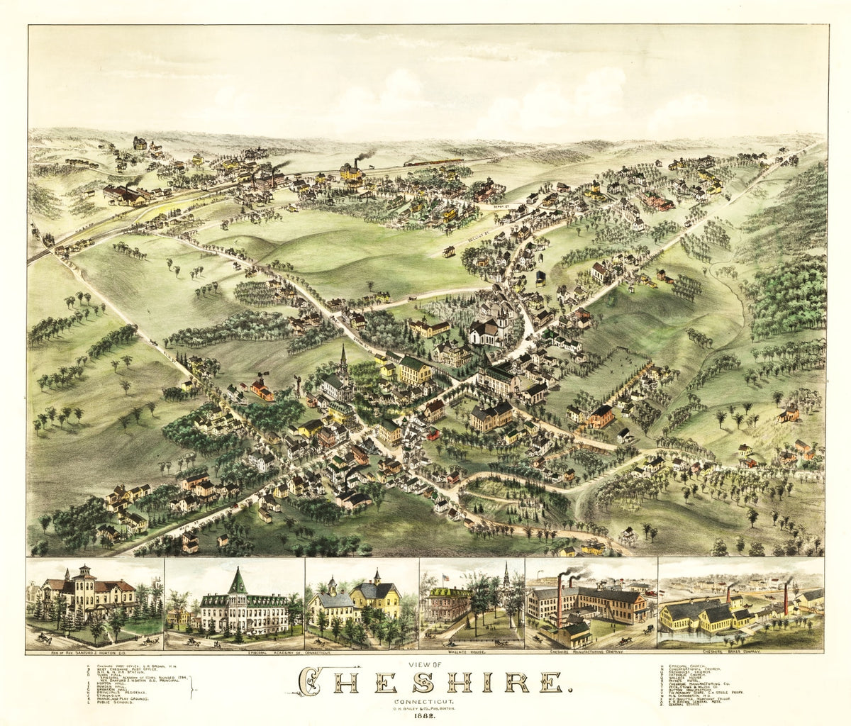 Preview of Vintage Map of Cheshire, Connecticut 1882