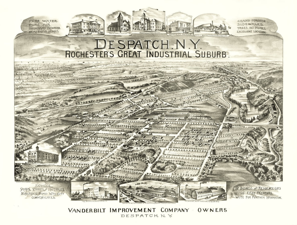 Preview of Vintage Map of Despatch, New York 1890
