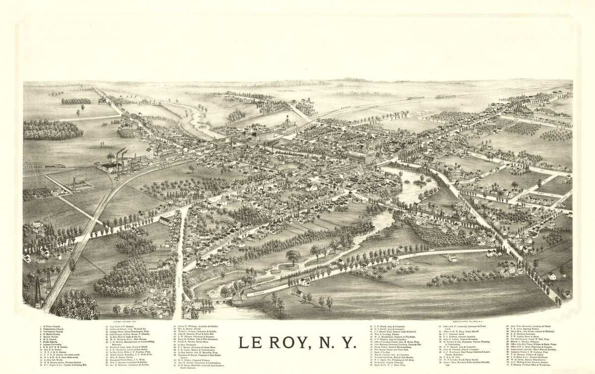 Preview of Vintage Map of Le Roy, New York 1892