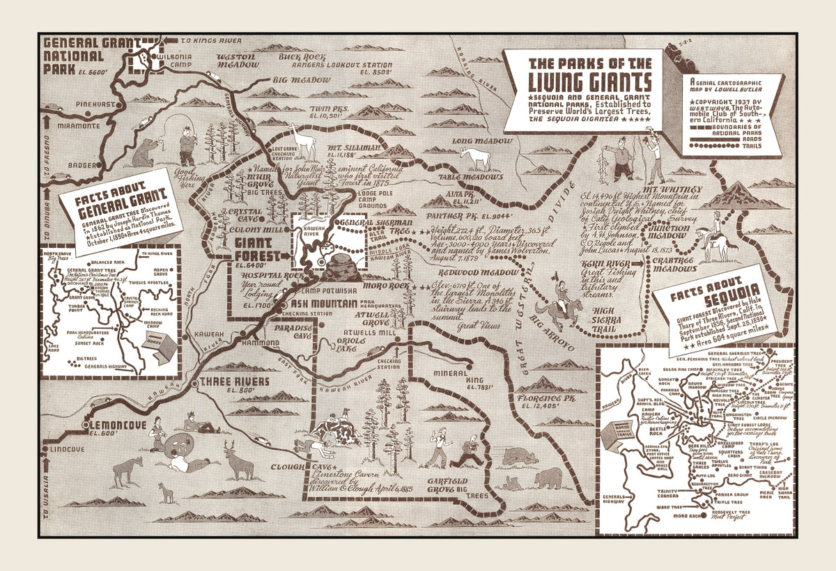 Preview of Vintage Map of Sequoia National Park & General Grant National Park 1937