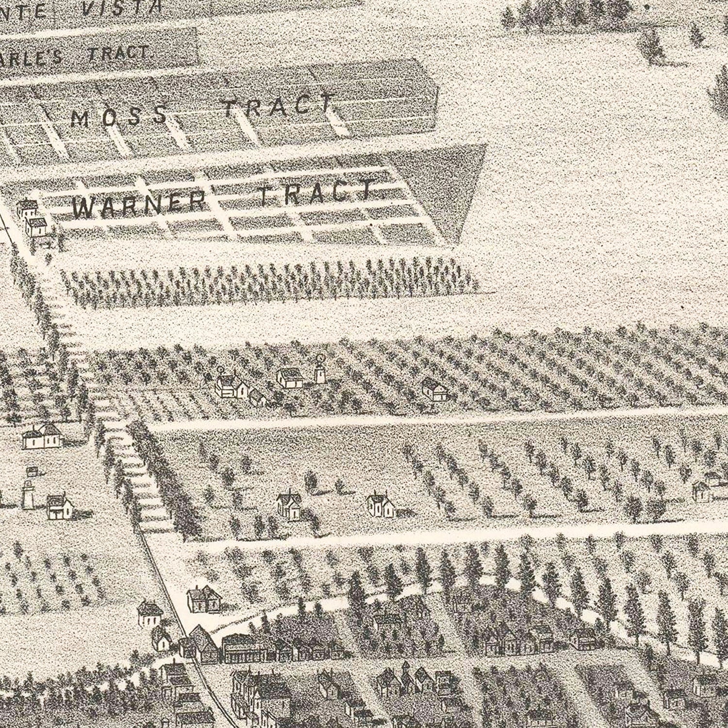 Restored historic details from the 1892 city map of San Leandro, California