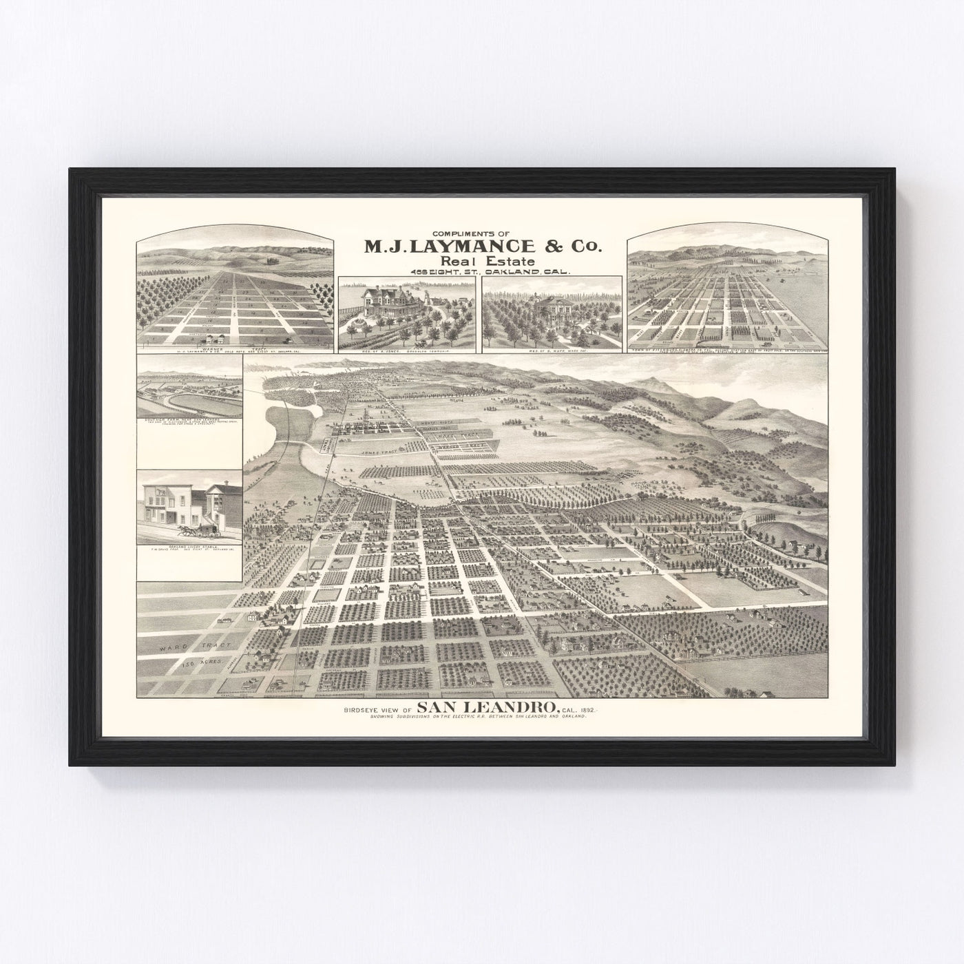 San Leandro Vintage Map 1892