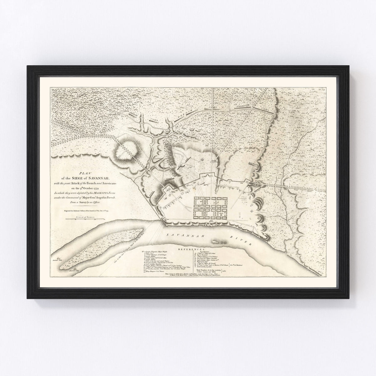 Savannah Vintage Map 1794