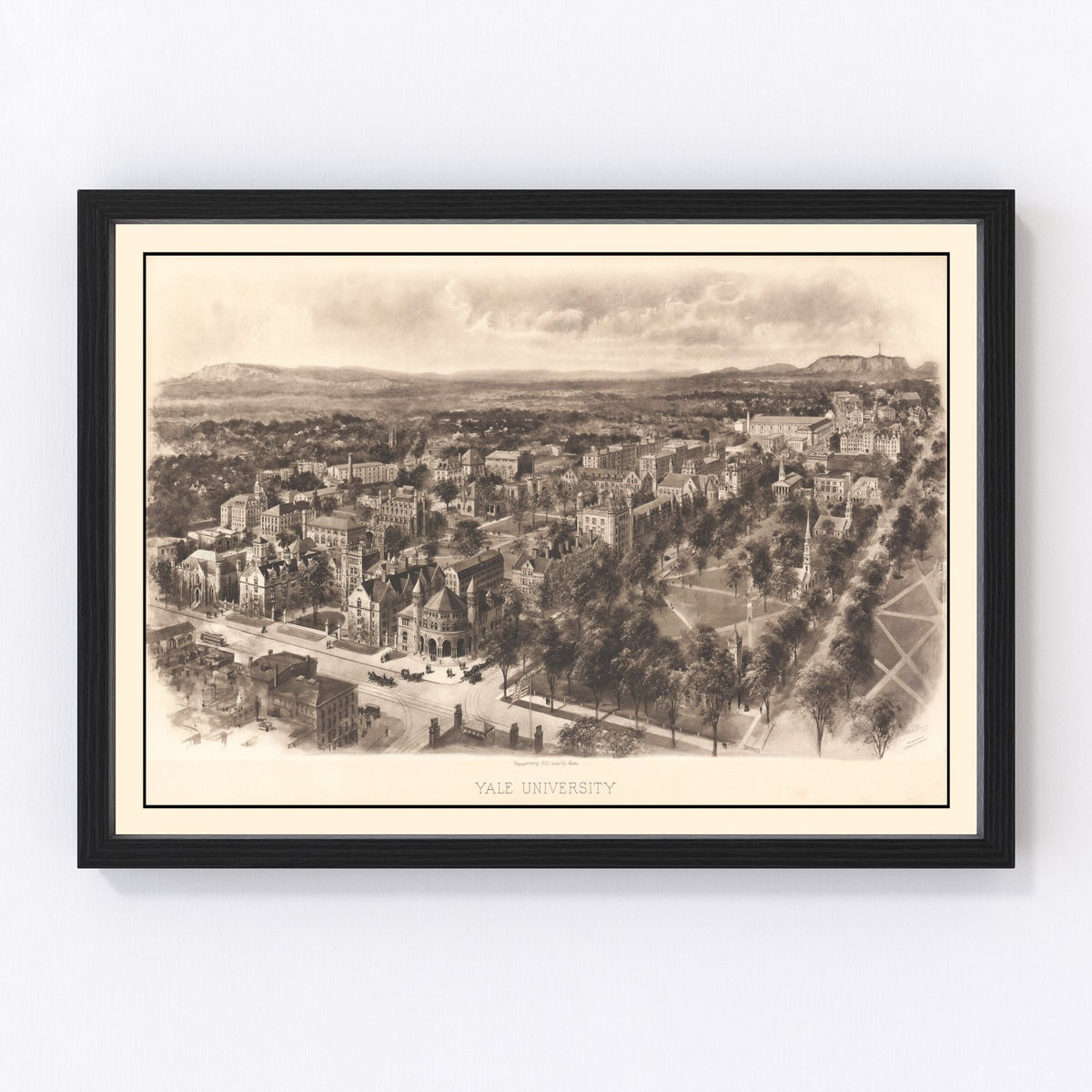 Yale University Vintage Map 1906