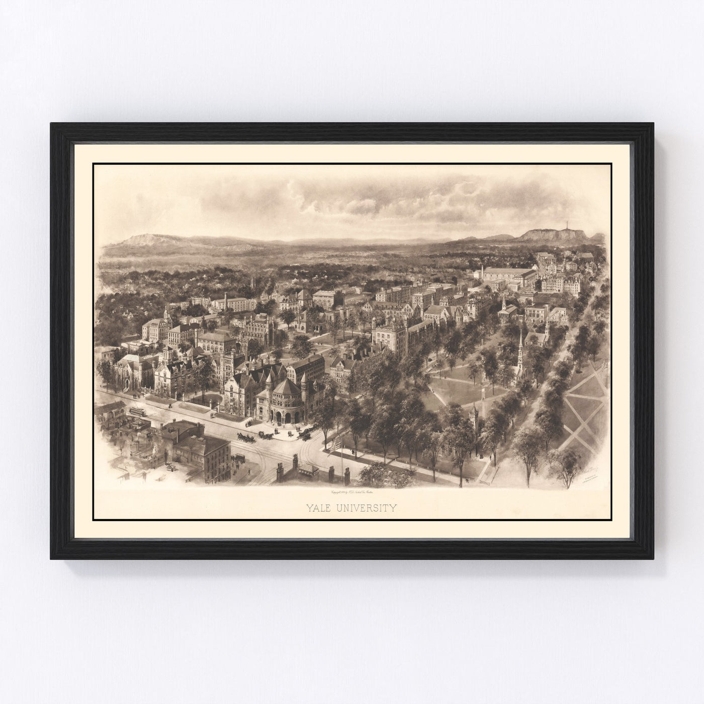 Yale University Vintage Map 1906