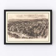 Yale University Vintage Map 1906