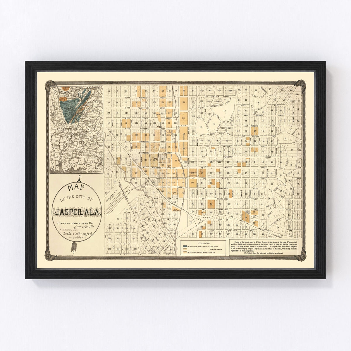 Jasper Vintage Map 1891