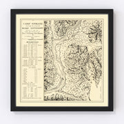 Washington Vintage Map 1882