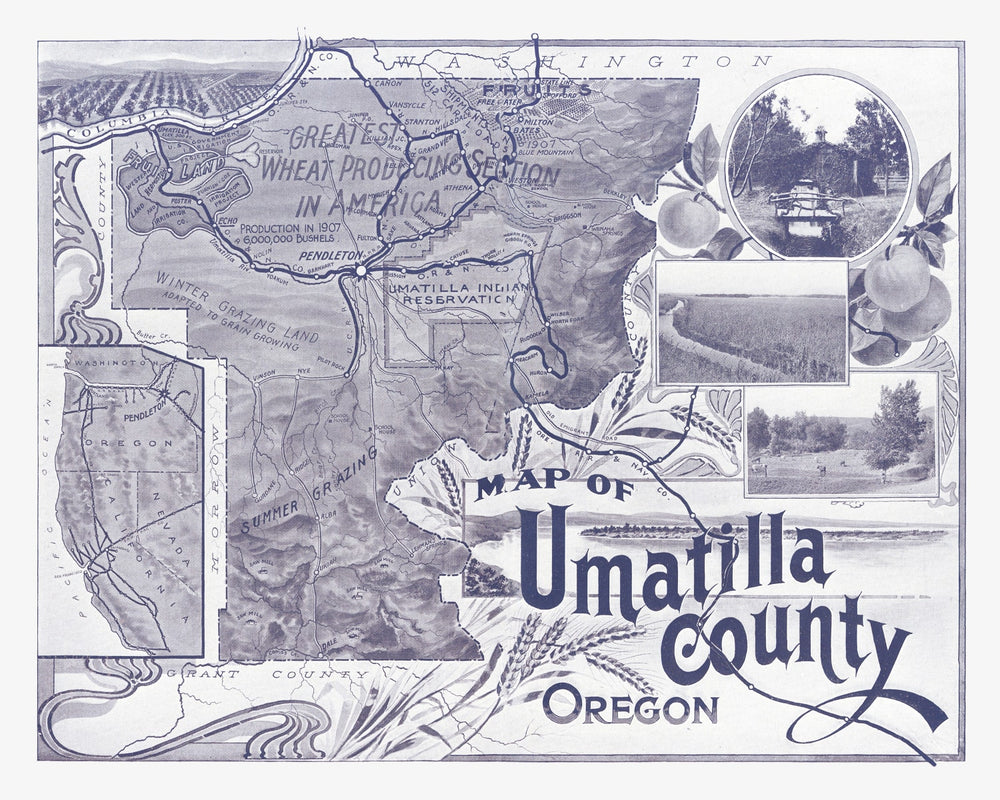 Vintage Map of Umatilla County, Washington 1908 print style example