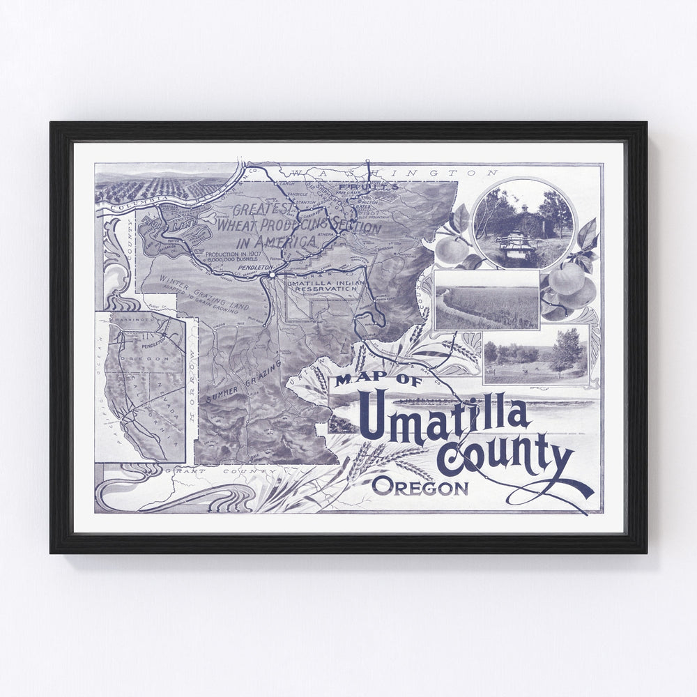 Umatilla County Vintage Map 1908