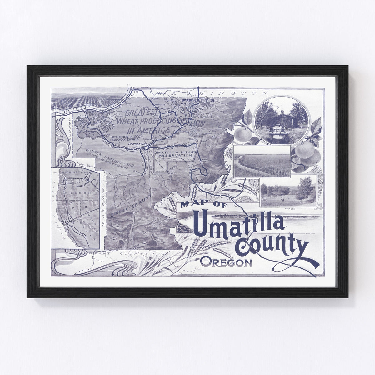 Umatilla County Vintage Map 1908