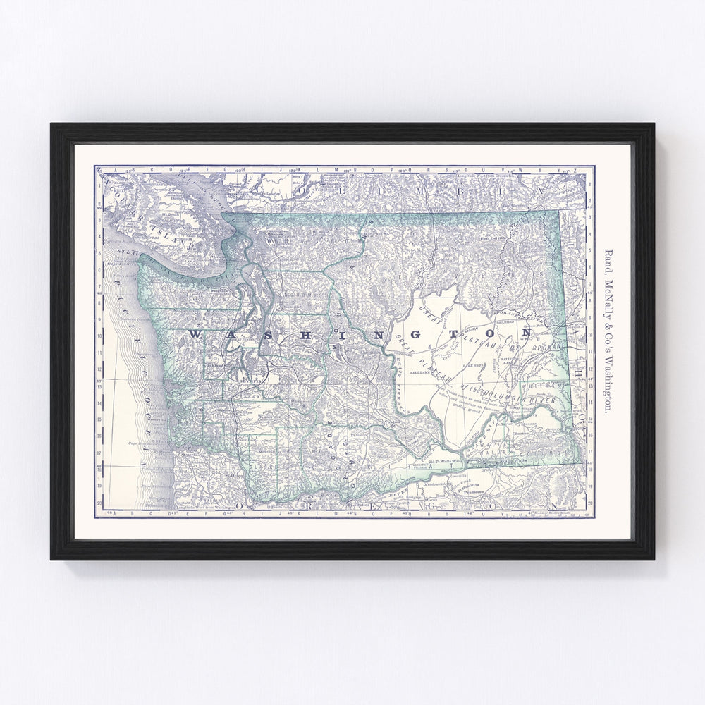 Washington Vintage Map 1881