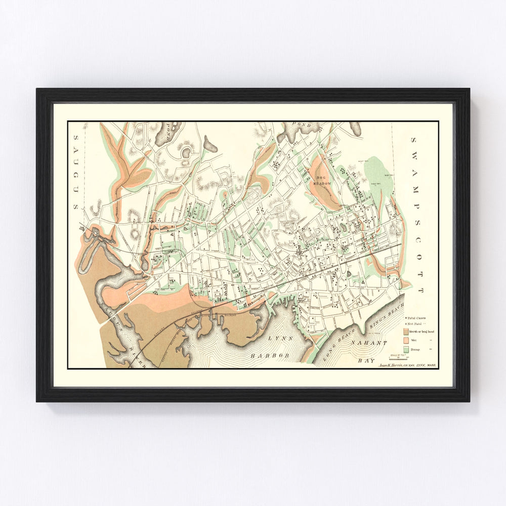 Lynn Vintage Map 1876