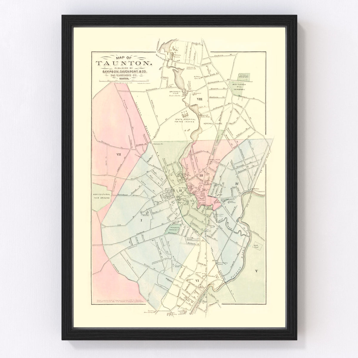 Taunton Vintage Map 1874