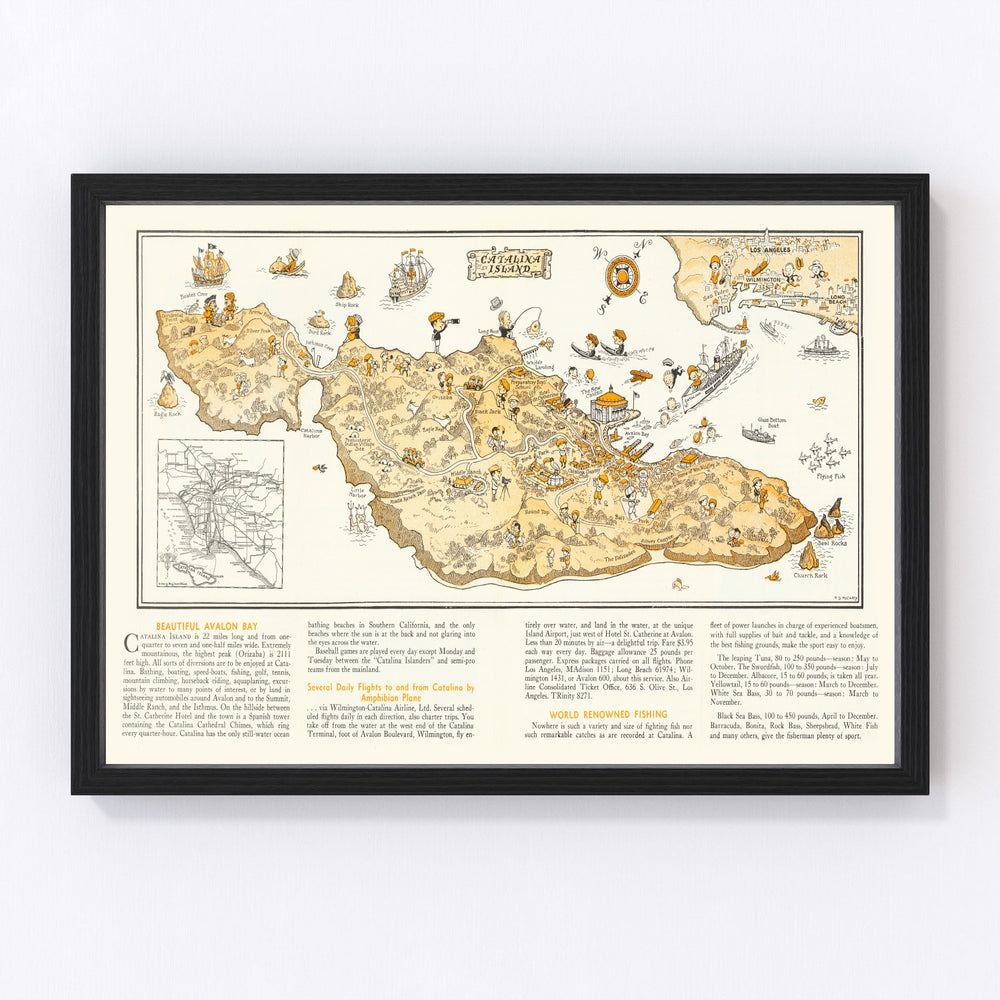 Catalina Island Vintage Map 1933
