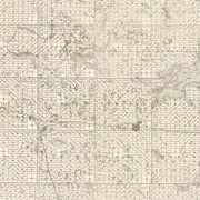 old Day County map