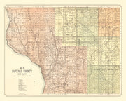 Buffalo County histo