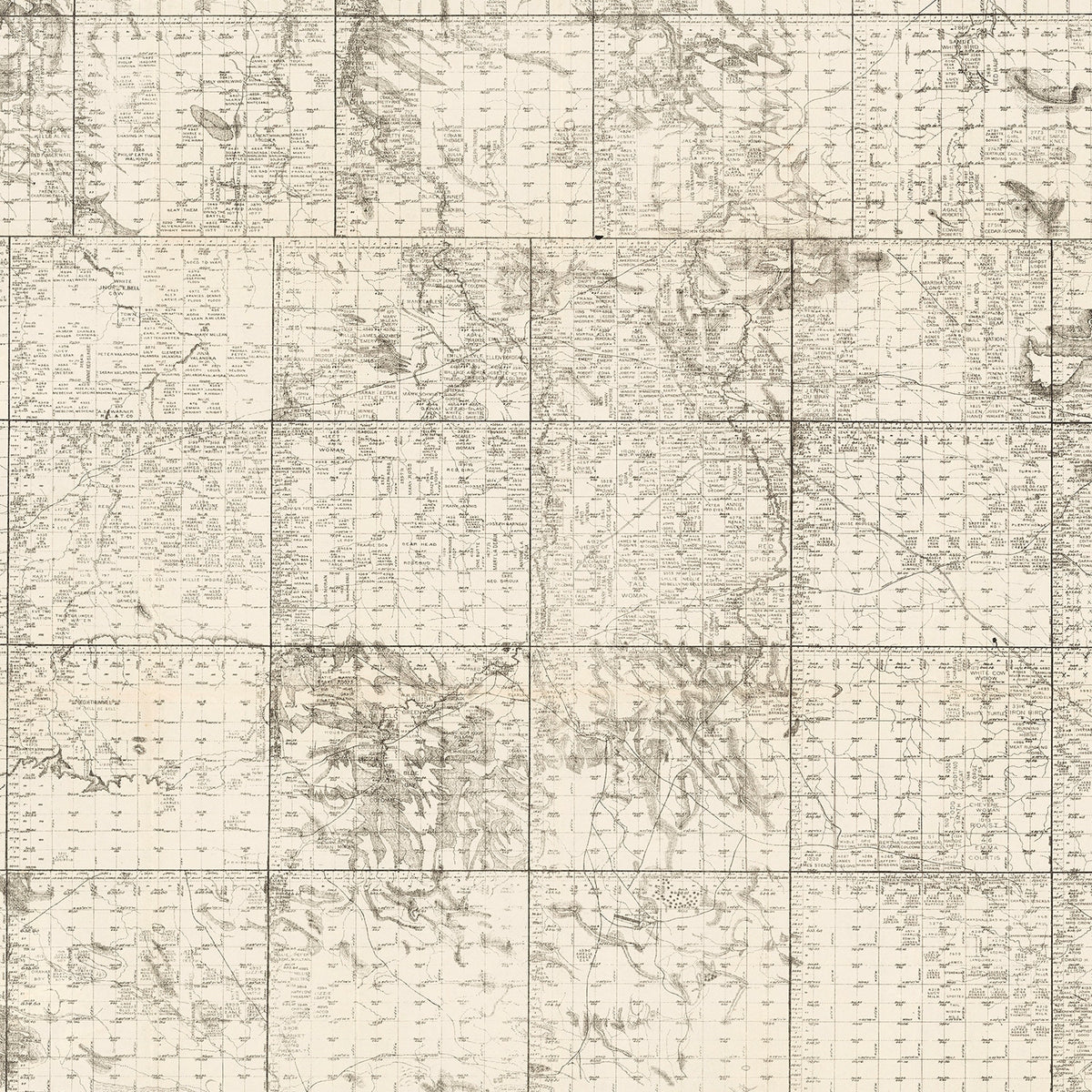 Restored historic details from the 1908 county map of Tripp County, South Dakota