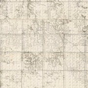 old Tripp County map