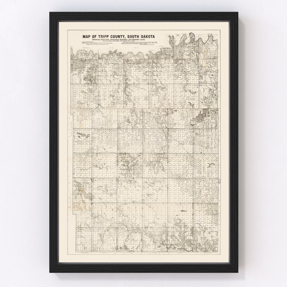 Tripp County Vintage Map 1908