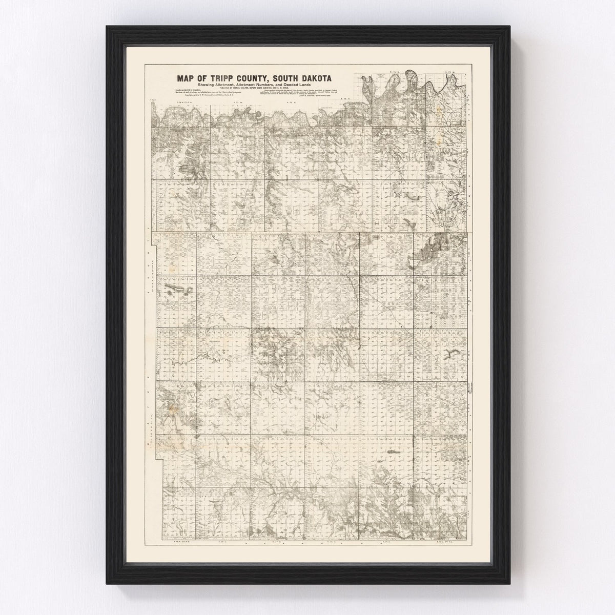 Tripp County Vintage Map 1908