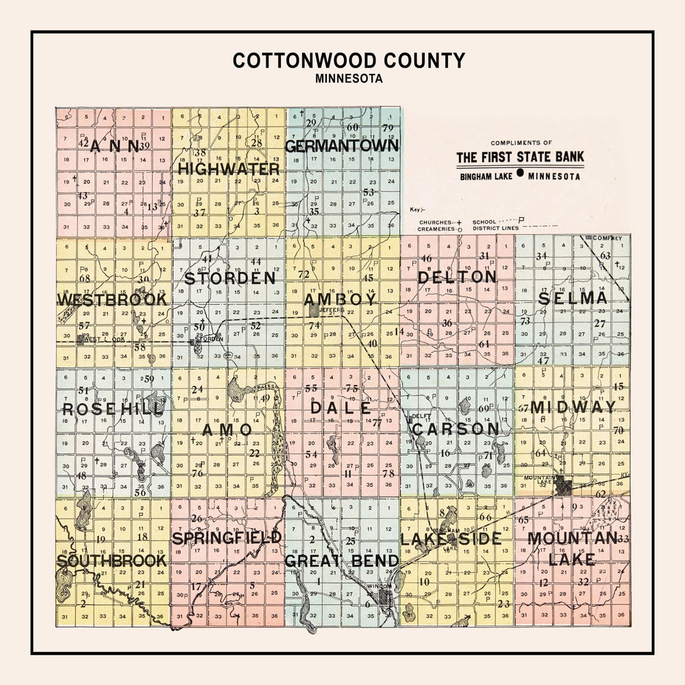 Vintage Map of Cottonwood County, Minnesota 1907 print style example