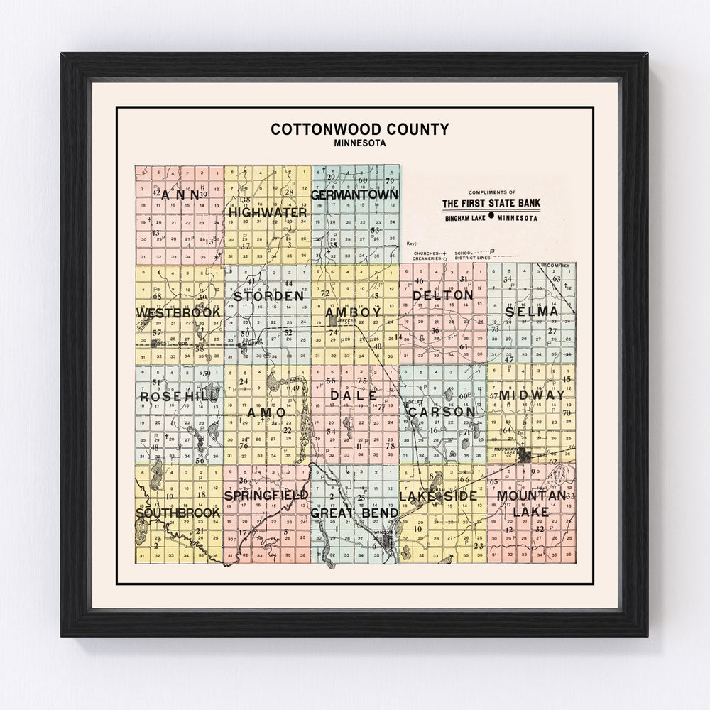Cottonwood County Vintage Map 1907