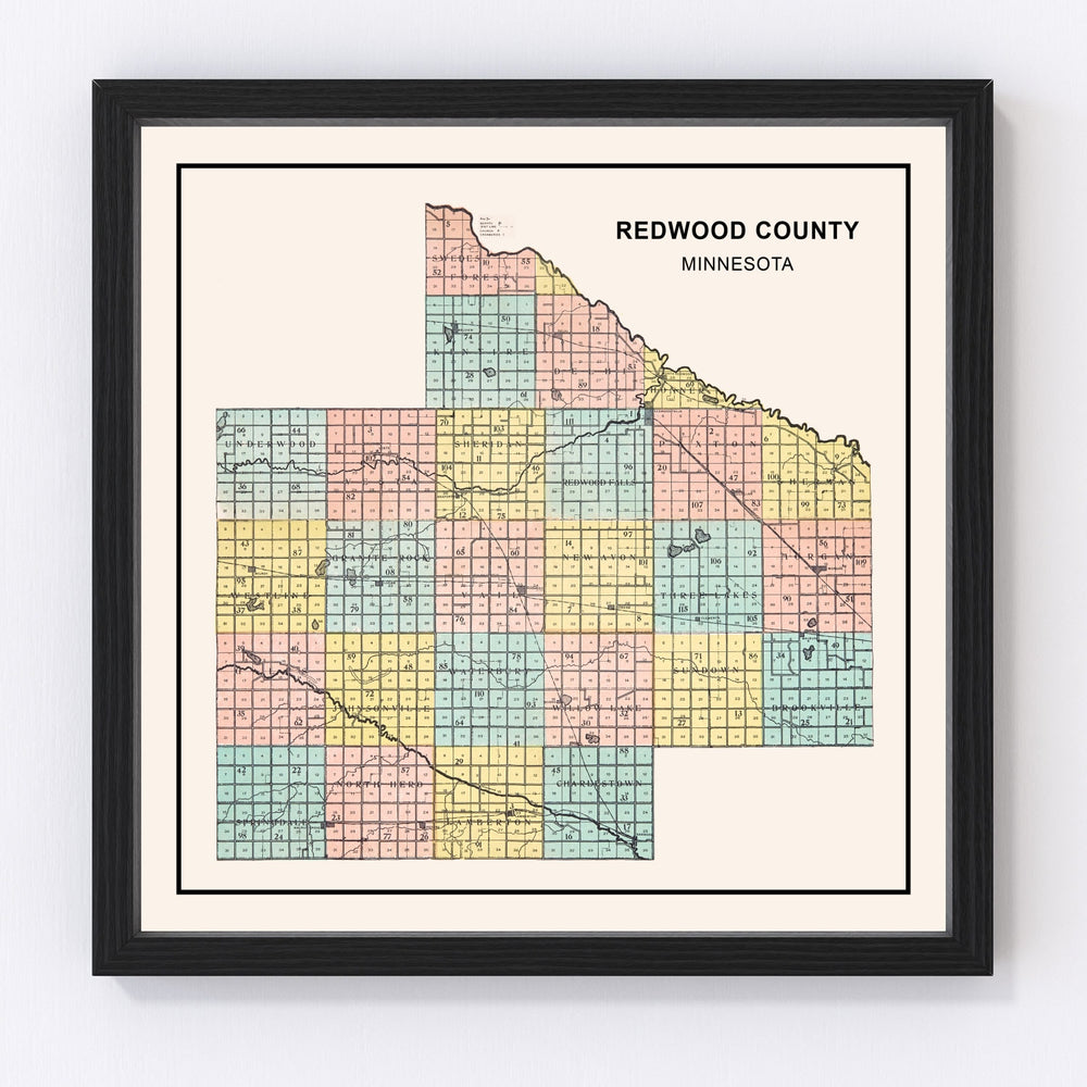 Redwood County Vintage Map 1907