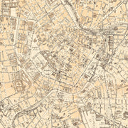 old Vienna map
