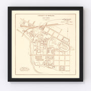 University of Minnesota Vintage Map 1936