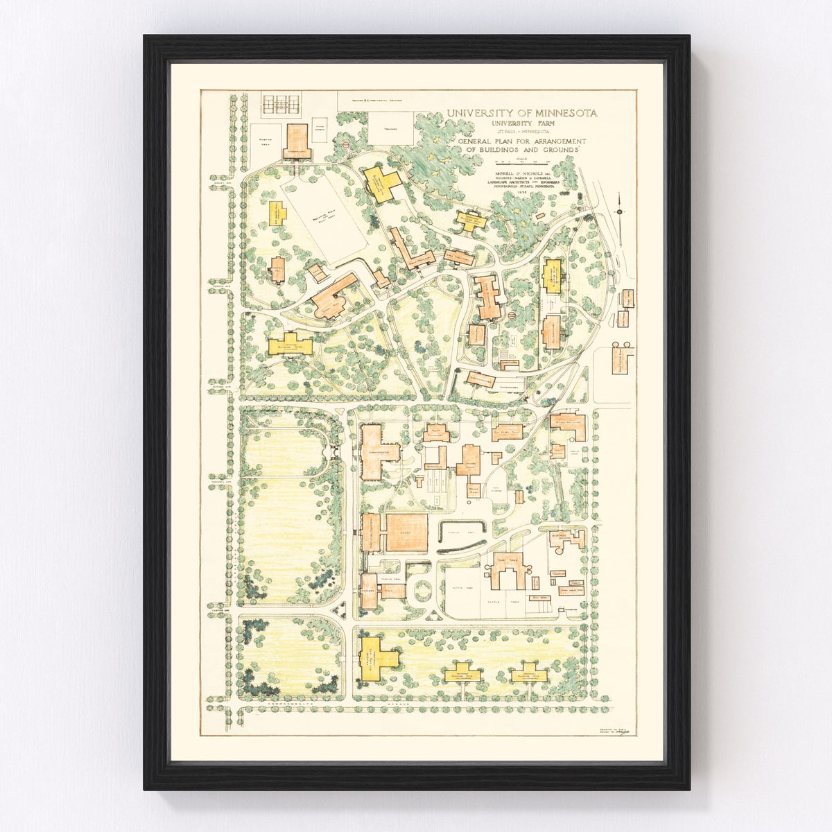University of Minnesota Vintage Map 1935