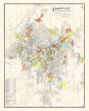 Leadville history