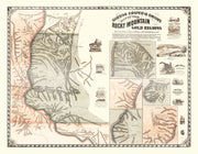 Rocky Mountain histo