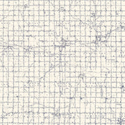 old Lincoln County m