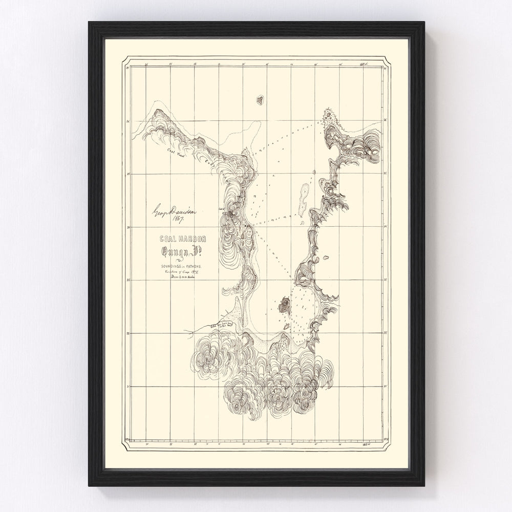 Coal Harbor Vintage Map 1867