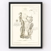 Anchorage Vintage Map 1875
