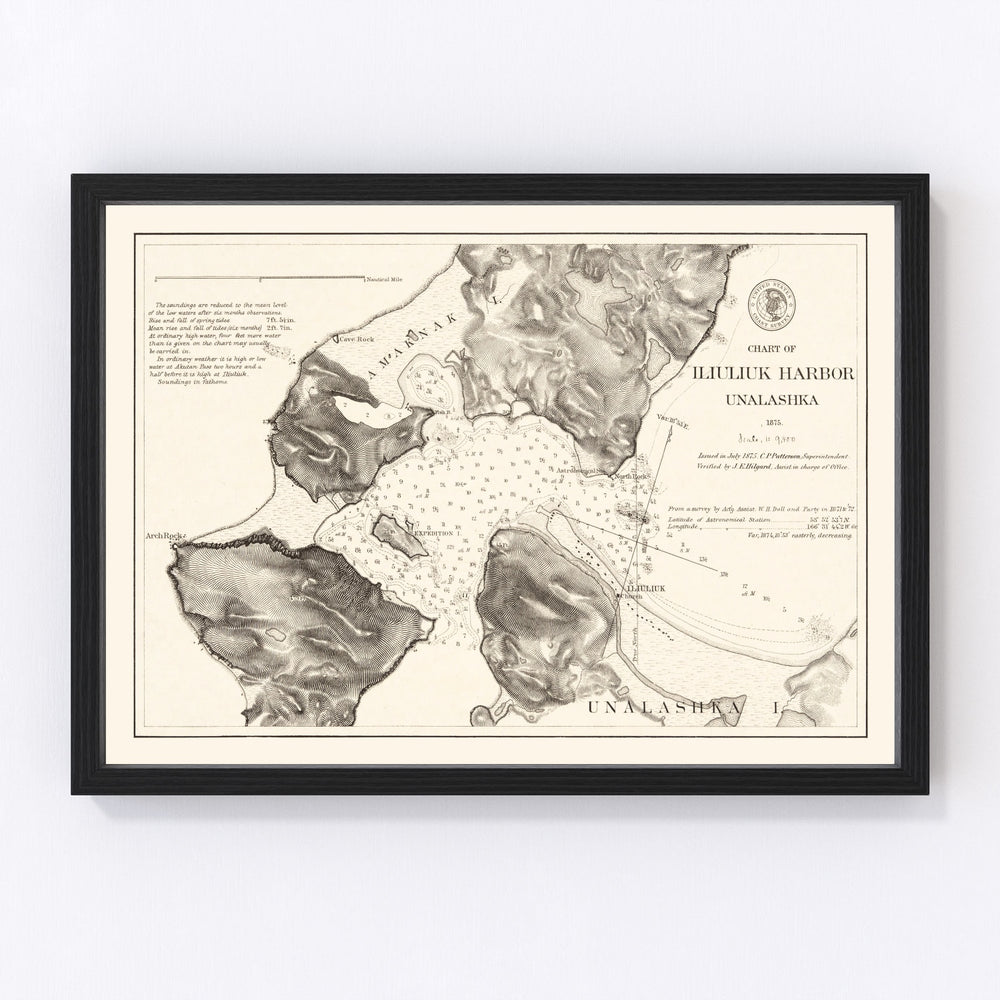 Iliuliuk Harbor Vintage Map 1875