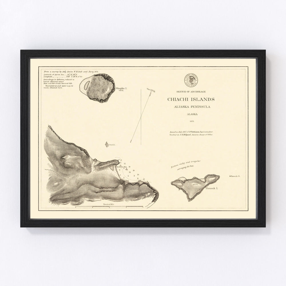 Anchorage Vintage Map 1875