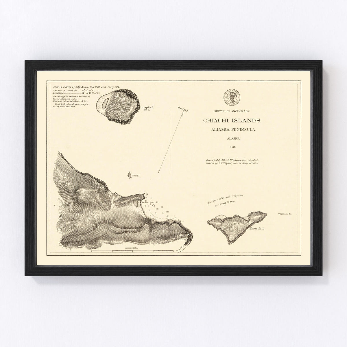 Anchorage Vintage Map 1875