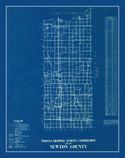 Newton County histor