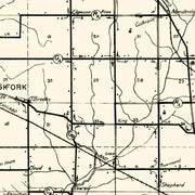 old Wayne County map