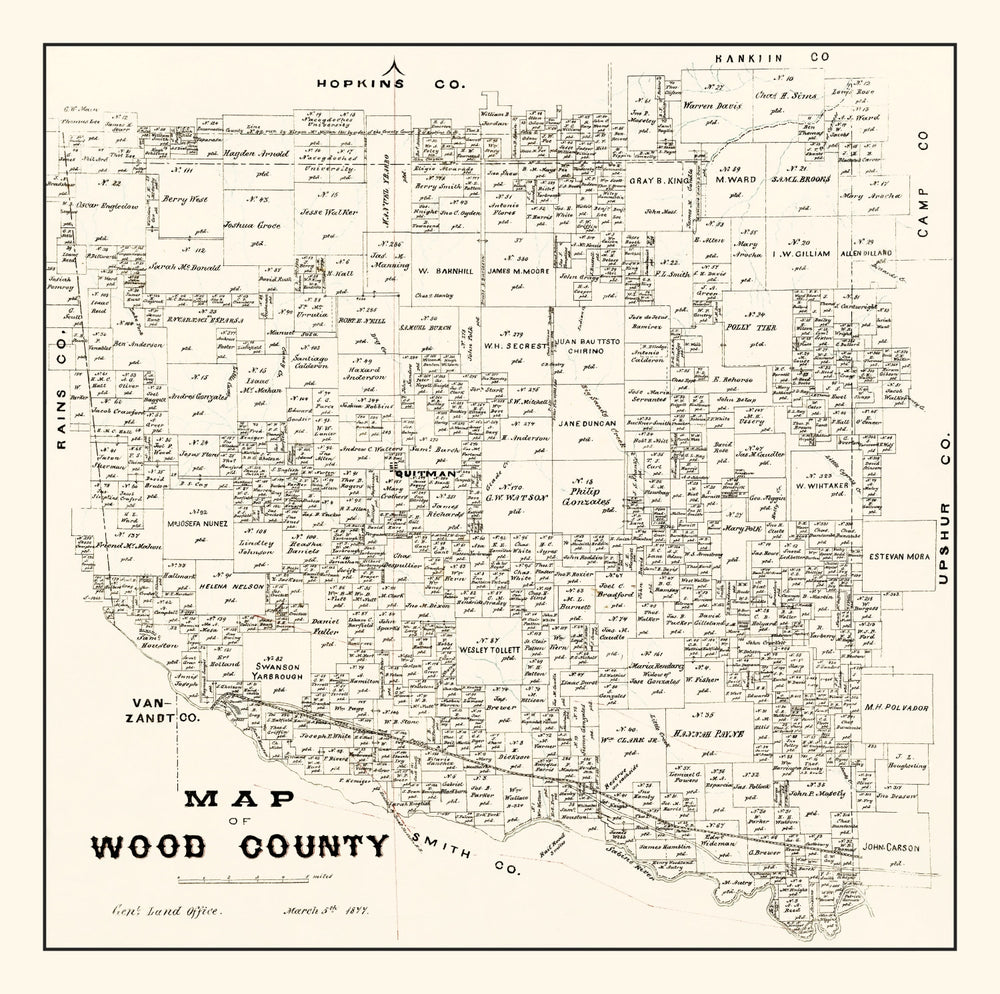 Vintage Map of Wood County, Texas 1877 print style example