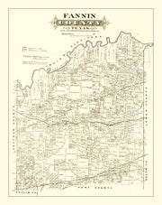 Fannin County histor