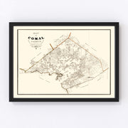 Comal County Vintage Map 1862