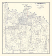 Grayson County histo